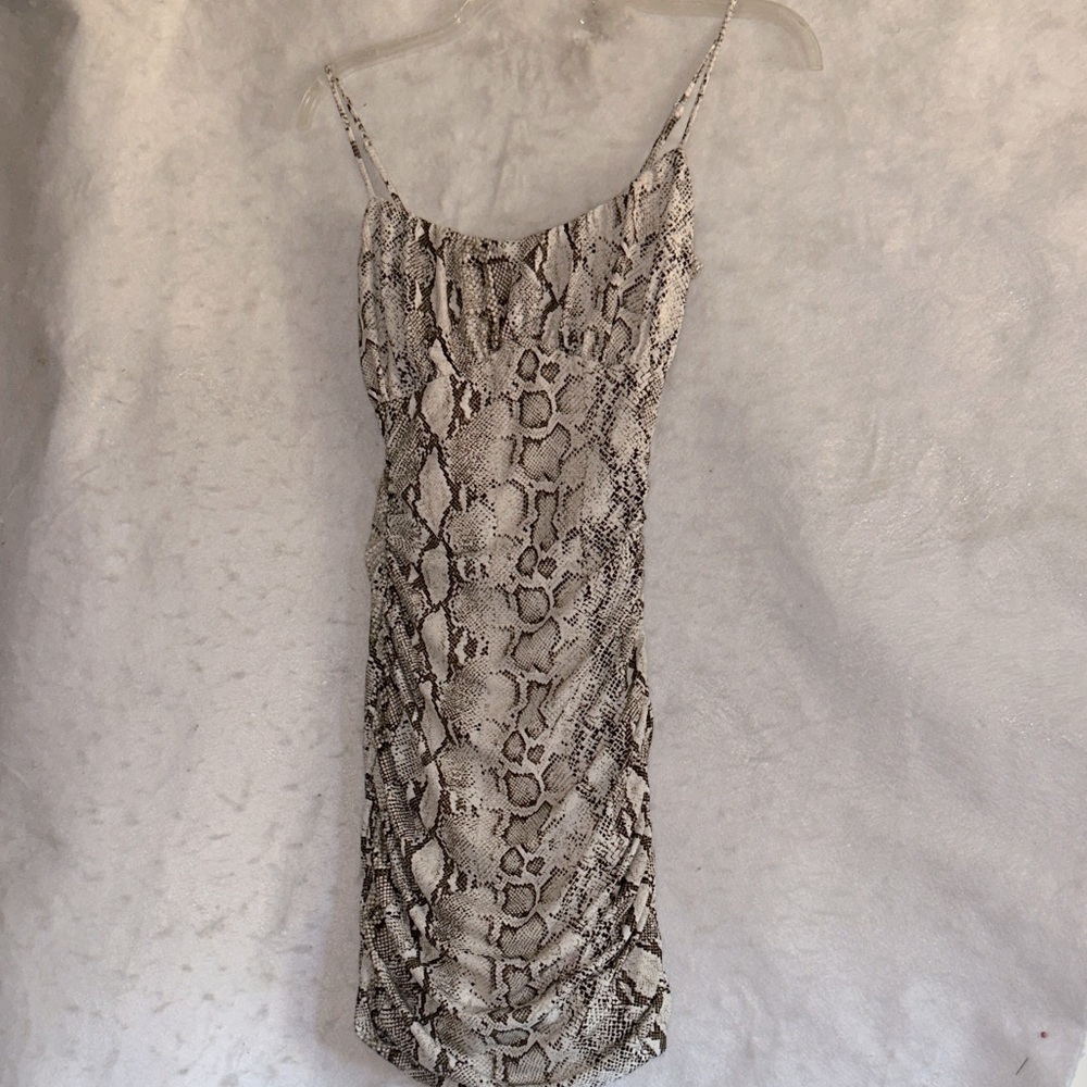 Windsor Snakeskin Print Spaghetti Strap Mini Dress
